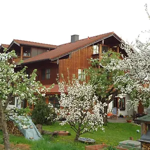  Apartment Wingen